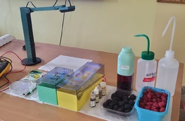 Avietės, gervuogės ir erškėtrožių arbata – KTU tyrėjai moko moksleivius kurti energiją iš uogų